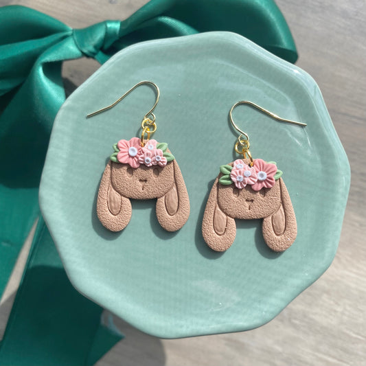 Brown bunnies