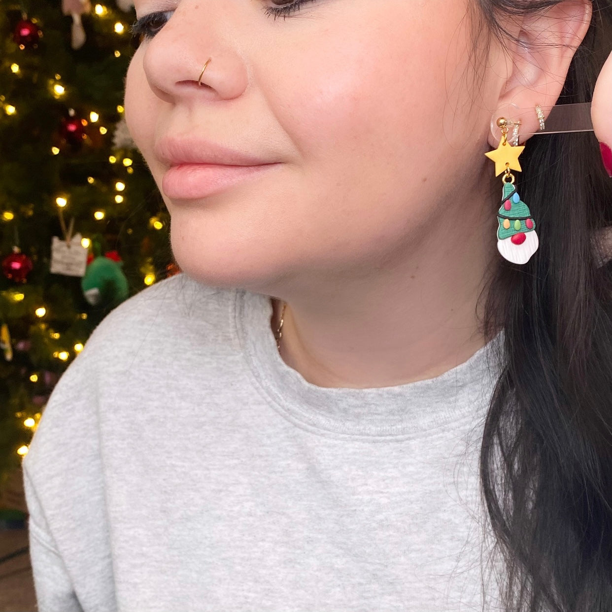Holiday Gnomes